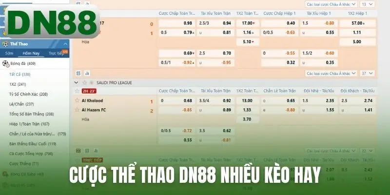 Cược thể thao DN88 nhiều kèo hay