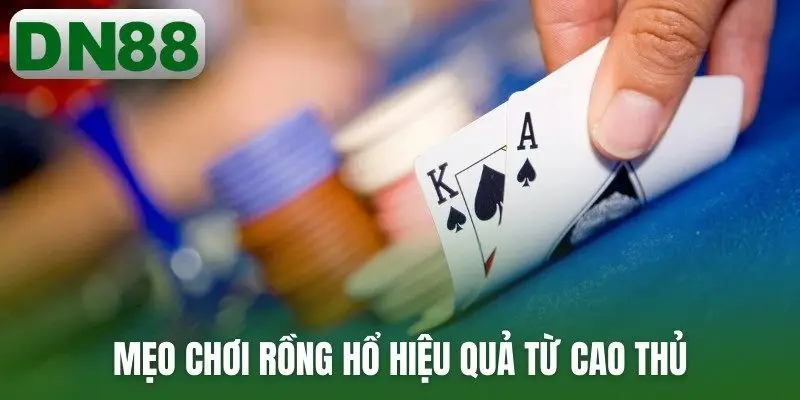 Mẹo chơi rồng hổ hiệu quả từ cao thủ