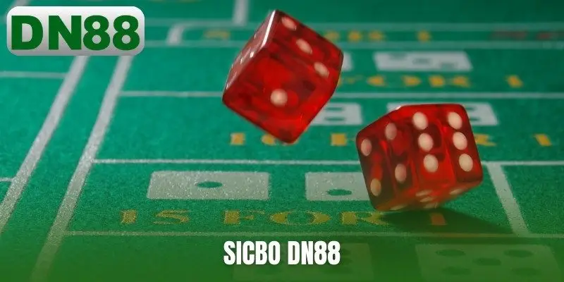 Sicbo DN88