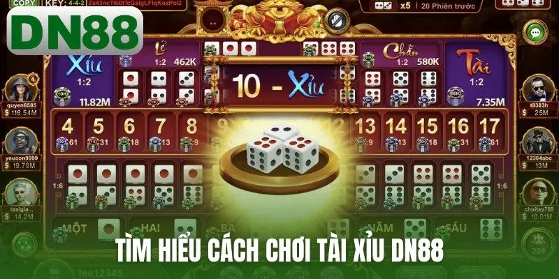 Tìm hiểu cách chơi tài xỉu DN88